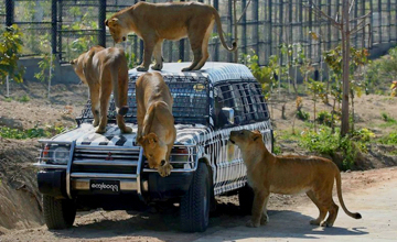 Сафари парк Туари